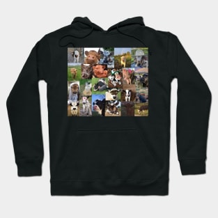 cows aesthetic collage Hoodie